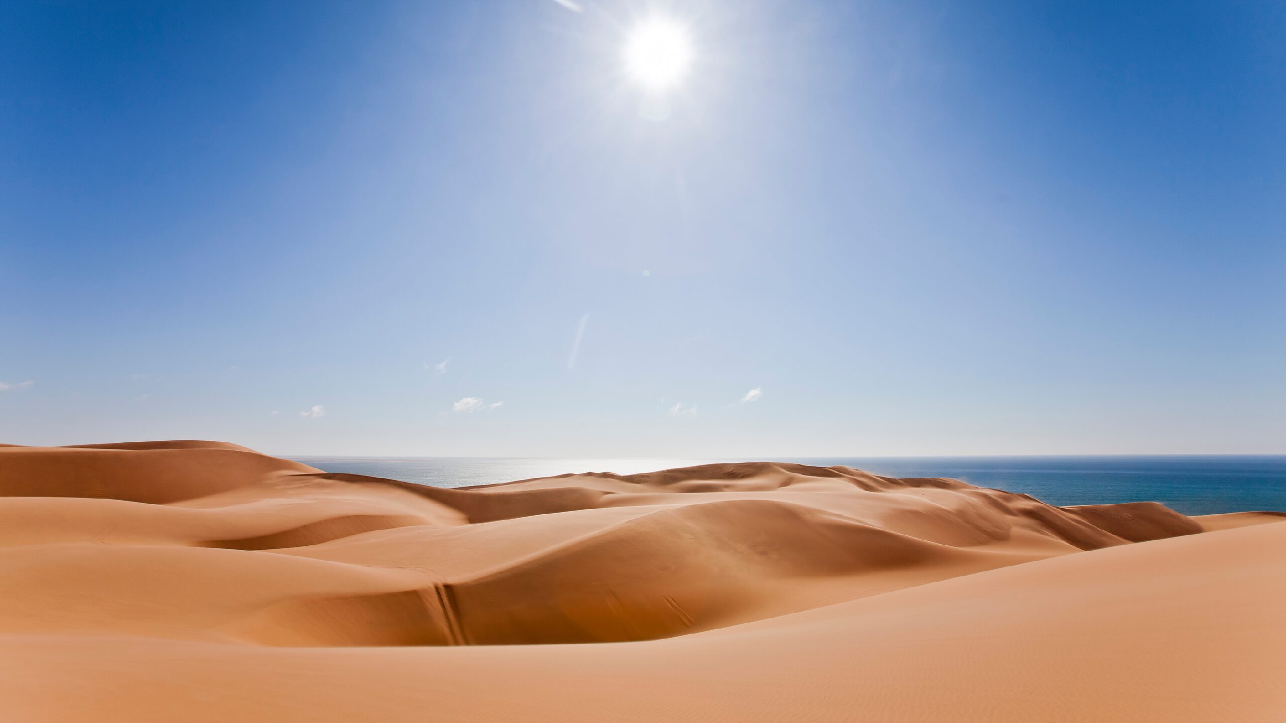 Ultimate Travel Guide to Africa