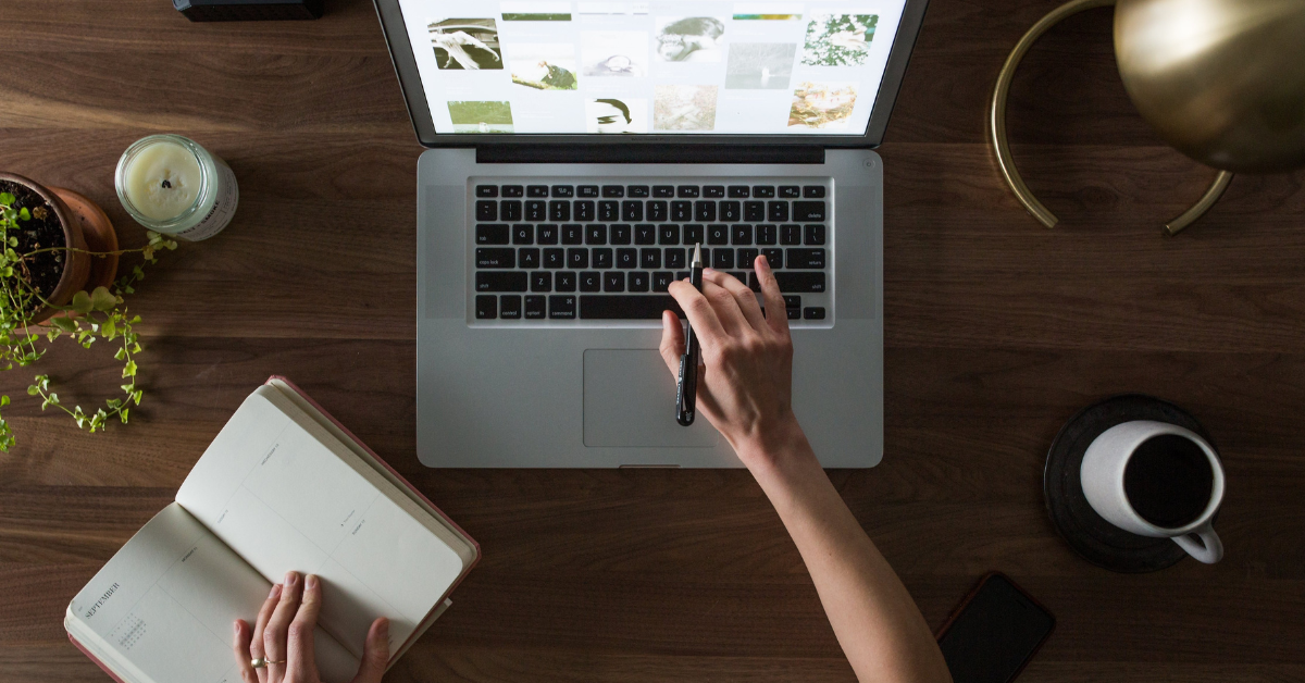 How to Make Money Online (Beginners Guide) in 2024 